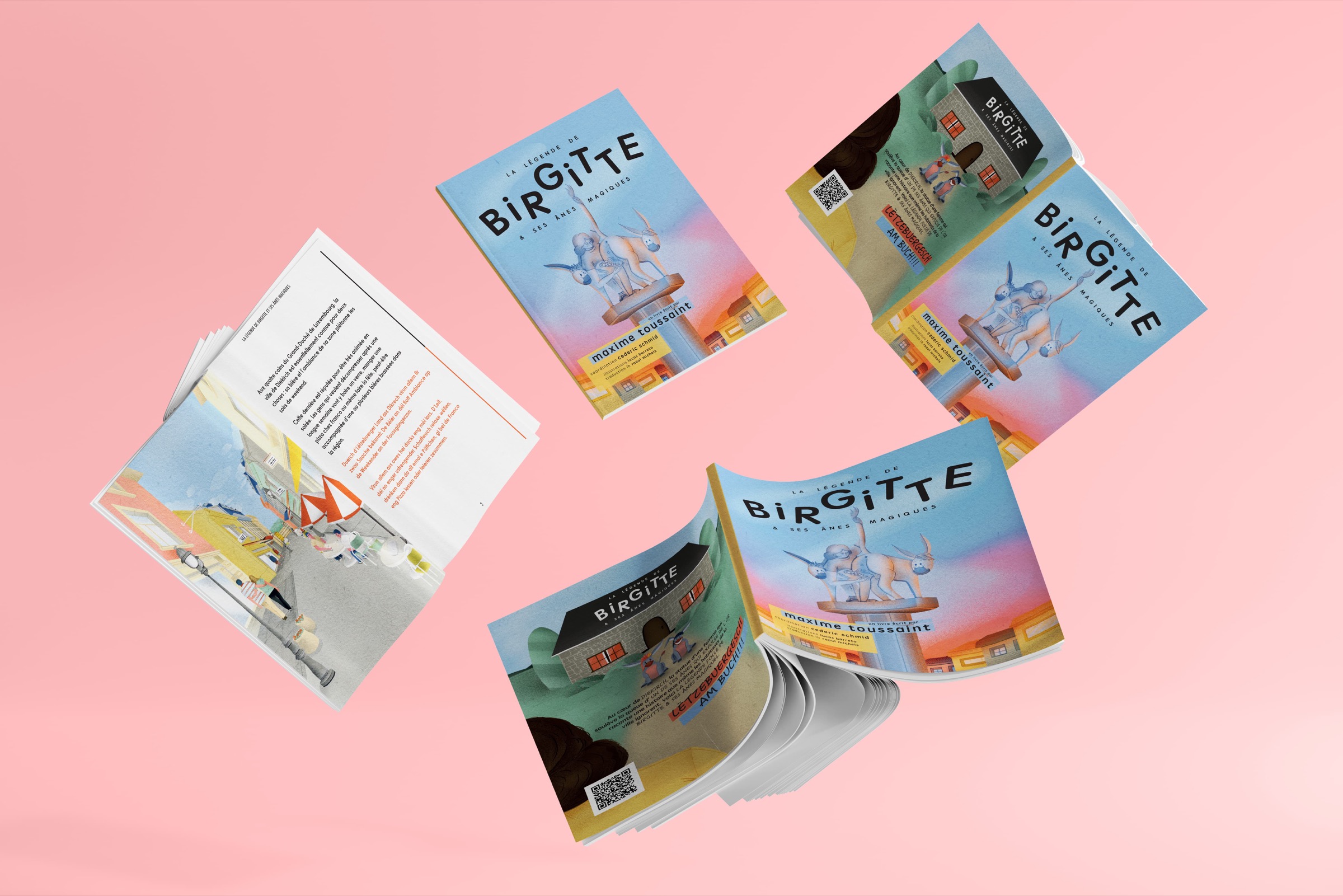 D'Buch Birgitte a verschiddene Perspektiven